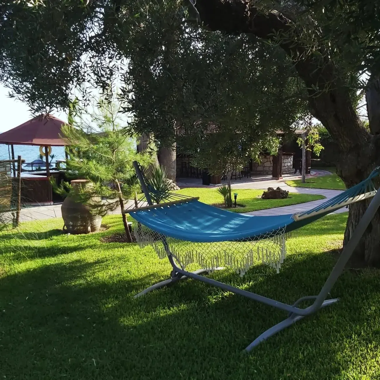 Blue hammock under old olive trees in Kudu's garden, bar in the background