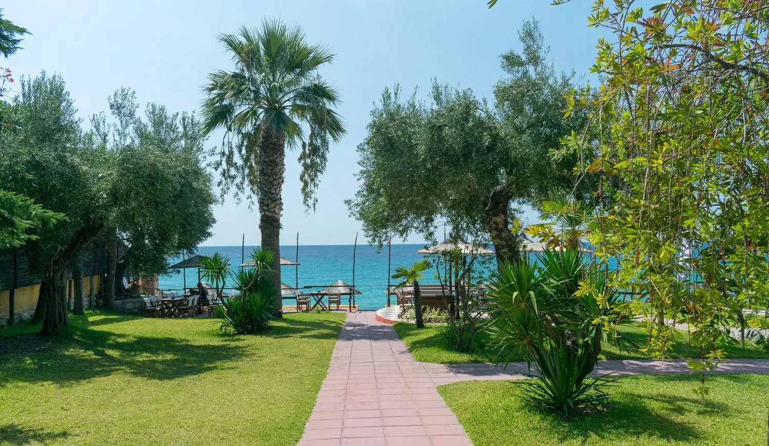 Palm tree and garden path leading down to the sea at Kudu