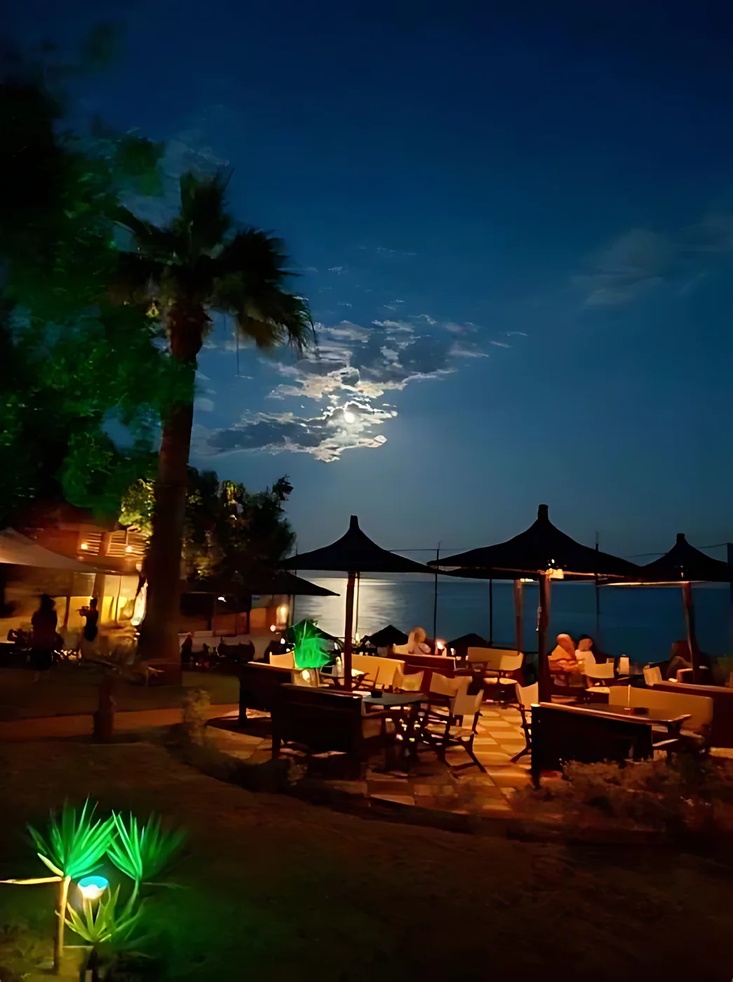 Full moon over Kudu's beachfront tables at night, palm silhouettes and garden lights