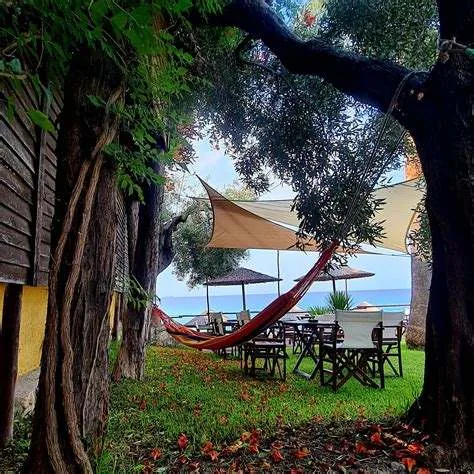 Hammock strung between olive trees in Kudu's garden, with the sea beyond