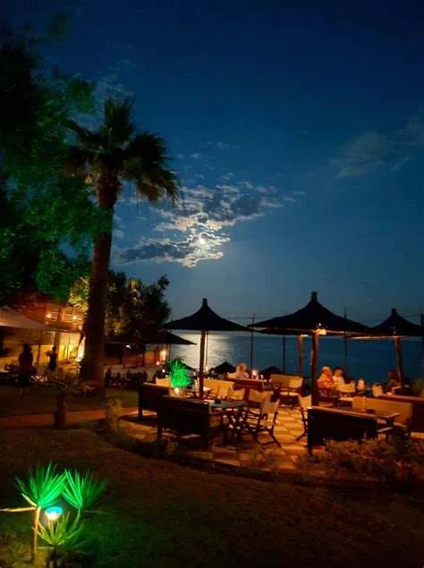Full moon over Kudu's beachfront tables at night, palm silhouettes and garden lights
